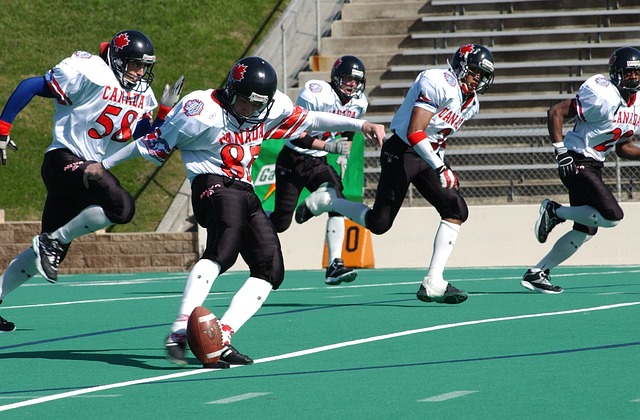 段行山路線 段行山路線