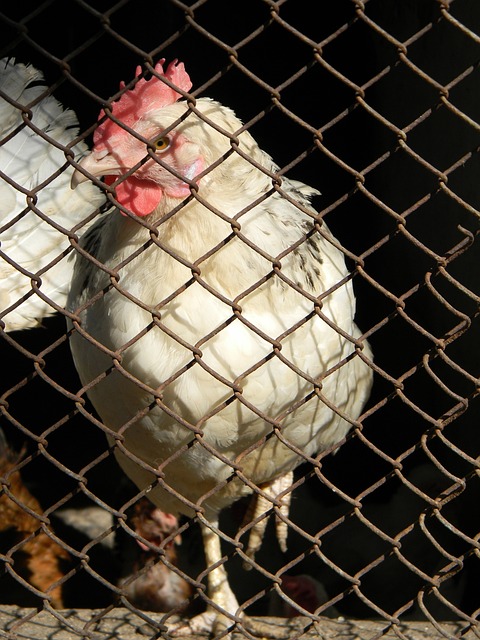 讓公眾了解 讓公眾了解