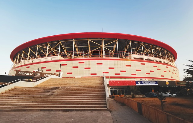 他不仅在场 他不仅在场