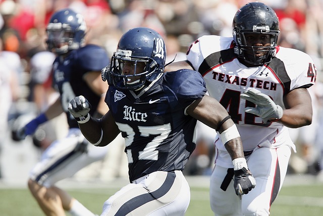 技術寫作 技術寫作