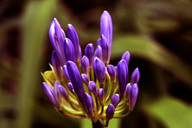 技术基础让 技术基础让